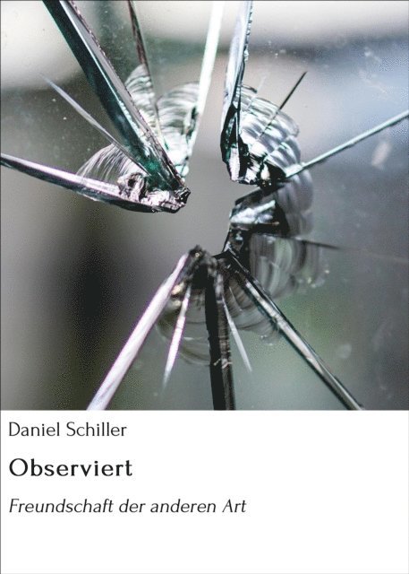 Daniel Schiller - Observiert, E-bok