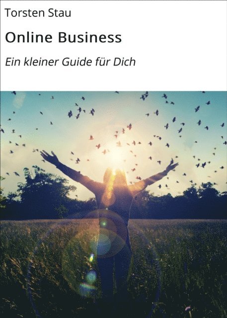 Torsten Stau - Online Business, E-bok