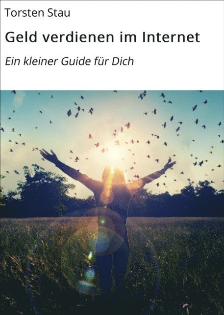Torsten Stau - Geld verdienen im Internet, E-bok