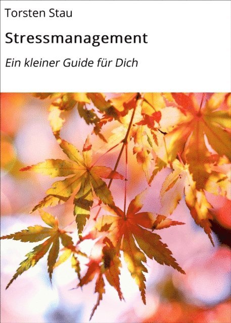 Torsten Stau - Stressmanagement, E-bok
