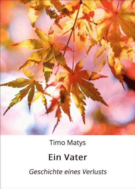 Timo Matys - Ein Vater, E-bok