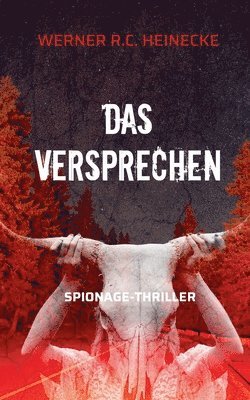 Werner R C Heinecke - Versprechen, Häftad. Tillgänglighet: Lägg i varukorg