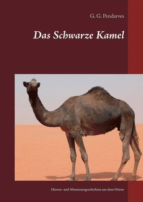 G G Pendarves, Detlef Eberwein - Schwarze Kamel, Häftad