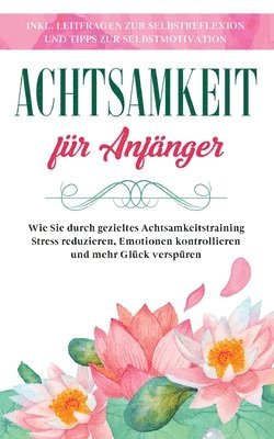 Johanna Frei - Achtsamkeit für Anfänger, Häftad