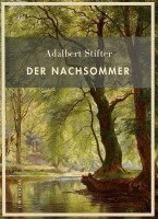 Adalbert Stifter - Adalbert Stifter, Inbunden