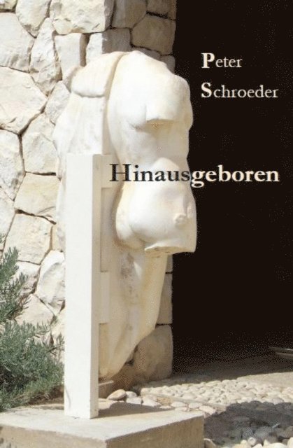 Peter Schroeder - Hinausgeboren, E-bok