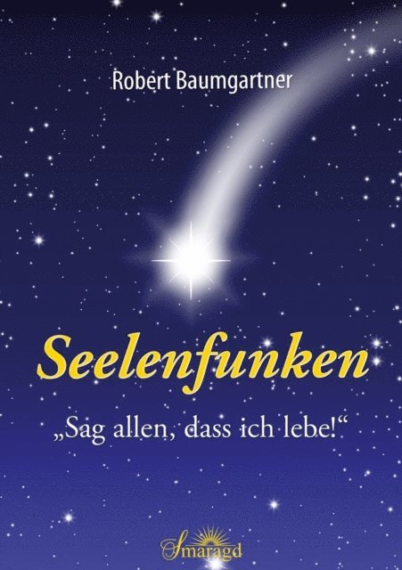 Robert Baumgartner - Seelenfunken, E-bok