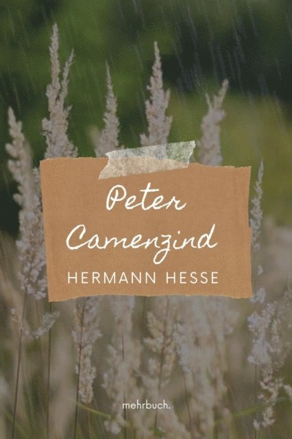 Hermann Hesse, mehrbuch Verlag - Peter Camenzind, E-bok
