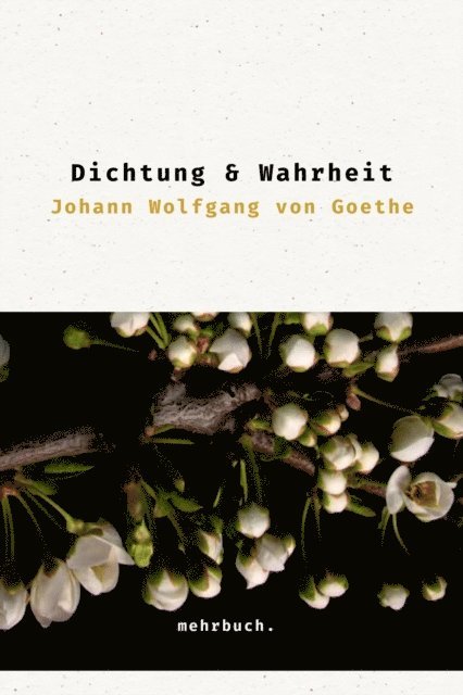 Johann Wolfgang von Goethe, mehrbuch Verlag - Dichtung und Wahrheit, E-bok