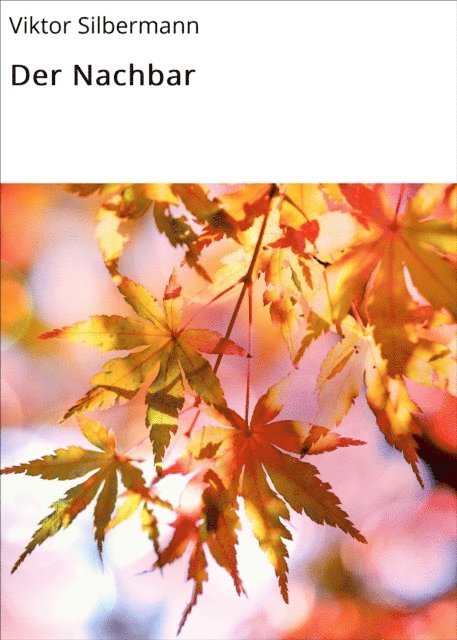 Viktor Silbermann - Der Nachbar, E-bok