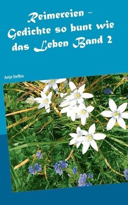 Antje Steffen - Reimereien - Gedichte so bunt wie das Leben Band 2, Häftad