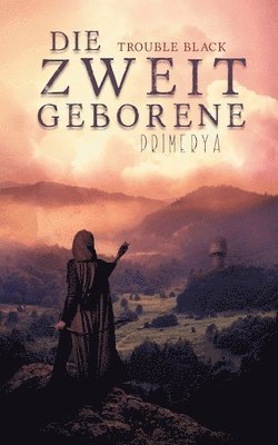 Trouble Black - Zweitgeborene, Häftad