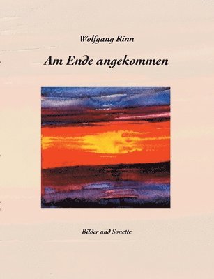 Wolfgang Rinn - Am Ende angekommen, Häftad