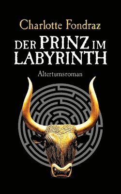 Charlotte Fondraz - Prinz im Labyrinth, Häftad