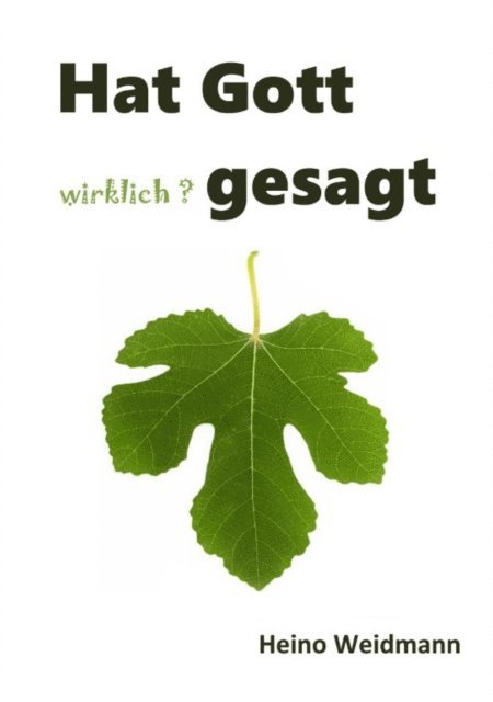 Heino Weidmann, Heino Weidmann - Hat Gott wirklich? gesagt, E-bok