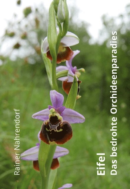 Rainer Nahrendorf - Eifel - Das bedrohte Orchideenparadies, E-bok. Tillgänglighet: Lägg i varukorg