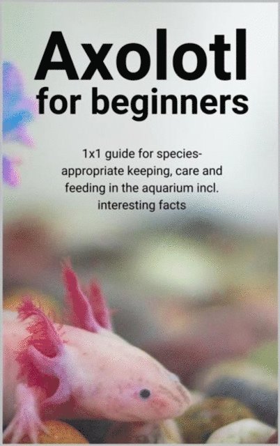Thorsten Hawk - Axolotl for beginners, E-bok. Tillgänglighet: Lägg i varukorg