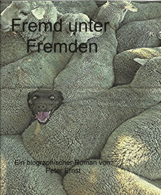 peter Ernst - Fremd unter Fremden, E-bok