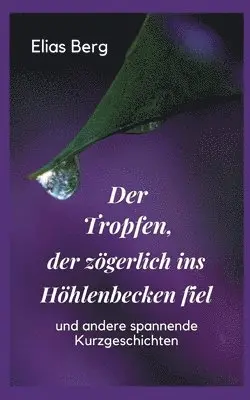 Elias Berg - Tropfen, der zögerlich ins Höhlenbecken fiel, Häftad. Tillgänglighet: Lägg i varukorg