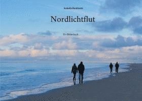 Isabella Renitente - Nordlichtflut, Häftad. Tillgänglighet: Lägg i varukorg