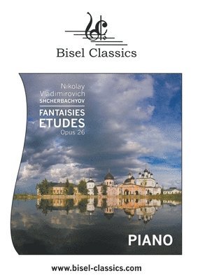 Nikolay Vladimirovich Shcherbachyov, Stephen Begley - Fantasie-Etudes, Opus 26, Häftad