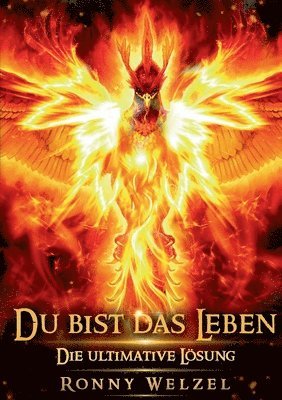 Ronny Welzel - Du bist das Leben, Häftad. Tillgänglighet: Lägg i varukorg