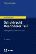 Schuldrecht Besonderer Teil: Vertragliche Schuldverhaltnisse