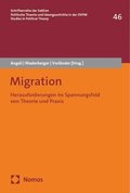 Migration: Herausforderungen Im Spannungsfeld Von Theorie Und PRAXIS