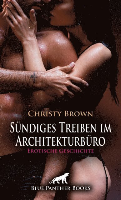 Christy Brown - Sündiges Treiben im Architekturbüro | Erotische Geschichte, E-bok