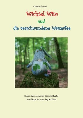 Cinzia Faraci - Wichtel Wito und die verschwundene Wasserfee, Häftad