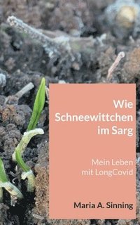 Wie Schneewittchen im Sarg