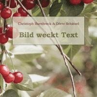 Christoph Barnbrock, Dörte Schätzel - Bild weckt Text, Häftad
