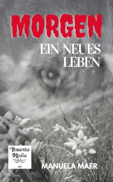 Manuela Maer - Morgen, E-bok