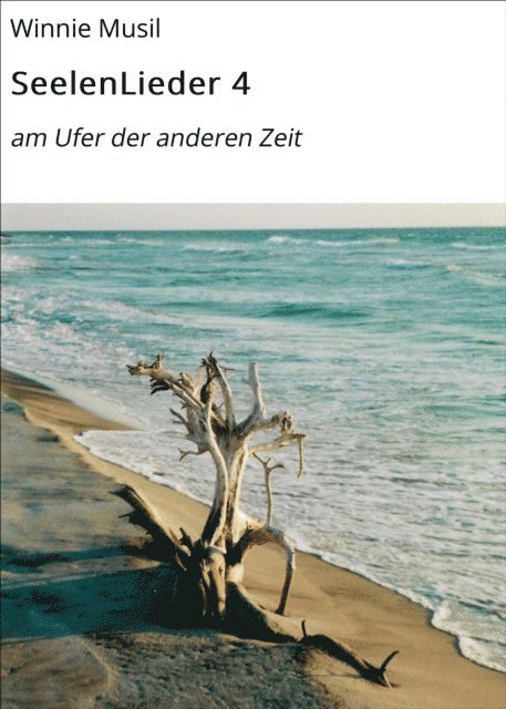 Winnie Musil - SeelenLieder 4, E-bok