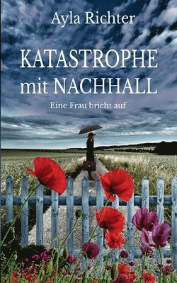 Ayla Richter - Katastrophe mit Nachhall, Häftad