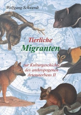 Wolfgang Schwerdt - Tierliche Migranten, Häftad. Tillgänglighet: Lägg i varukorg