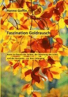 Hanno Goffin - Faszination Goldrausch, Häftad. Tillgänglighet: Lägg i varukorg