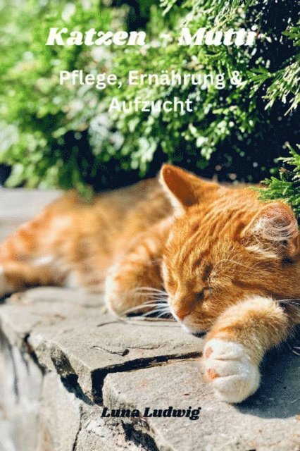 Luna Ludwig - Katzen Mutti Pflege, Ernährung & Zucht, E-bok. Tillgänglighet: Lägg i varukorg