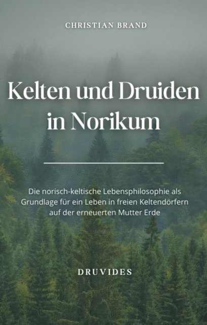 Christian Brand - Kelten und Druiden in Norikum, E-bok