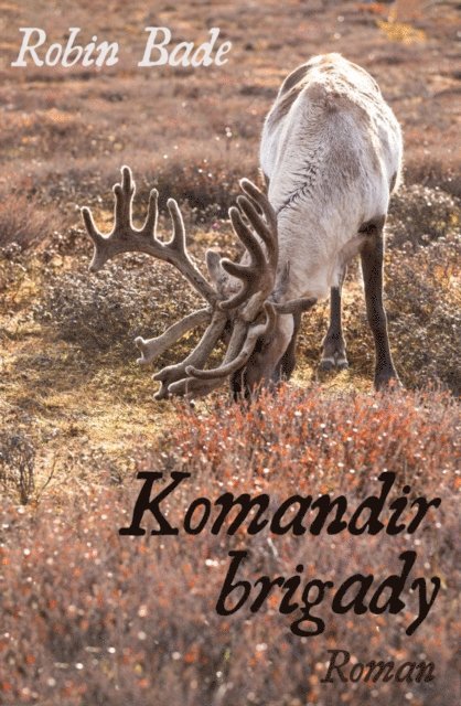 Robin Bade - Komandir brigady, E-bok