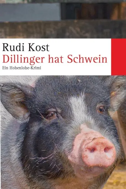 Rudi Kost - Dillinger hat Schwein, E-bok. Tillgänglighet: Lägg i varukorg