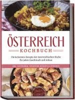 Isabella Huber - Österreich Kochbuch: Die leckersten Rezepte der österreichischen Küche für jeden Geschmack und Anlass | inkl. Aufstrichen, Fingerfood, Desserts & Getränken, Häftad