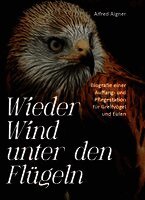 Wieder Wind unter den Flügeln