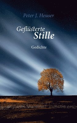 Peter J Heuser - Geflüsterte Stille, Häftad