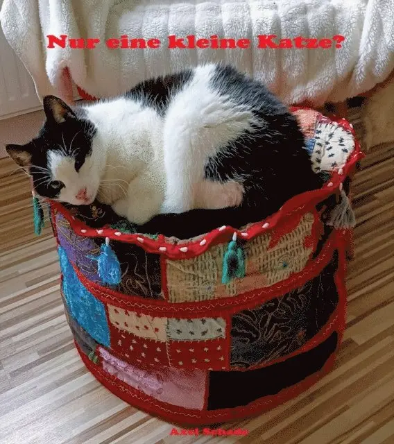 Axel Schade - Nur eine kleine Katze?, E-bok. Tillgänglighet: Lägg i varukorg