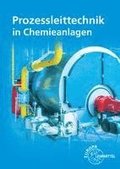 Prozessleittechnik in Chemieanlagen