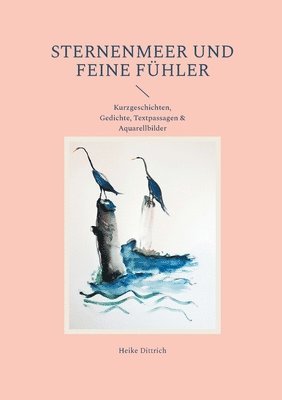 Heike Dittrich - Sternenmeer und feine Fühler, Häftad