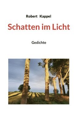 Robert Kappel - Schatten im Licht, Häftad