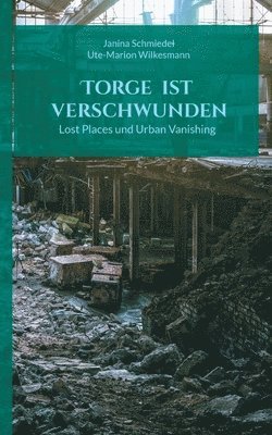 Janina Schmiedel, Ute-Marion Wilkesmann - Torge ist verschwunden, Häftad