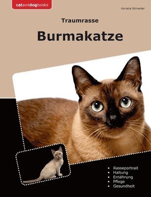 Kornelia Schneider - Traumrasse Burmakatze, Häftad